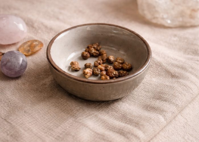 Plantmedicijn Truffels 3